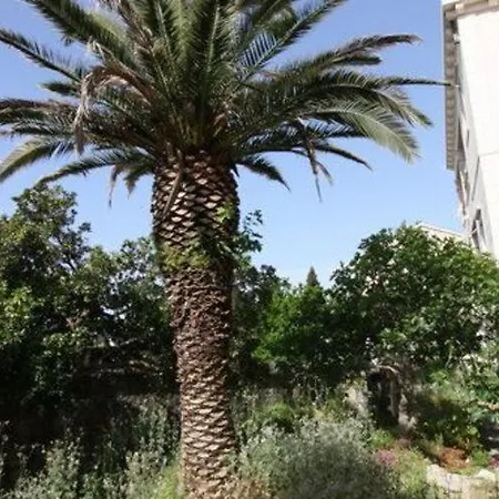 Rose - Cin081006-dya Appartement